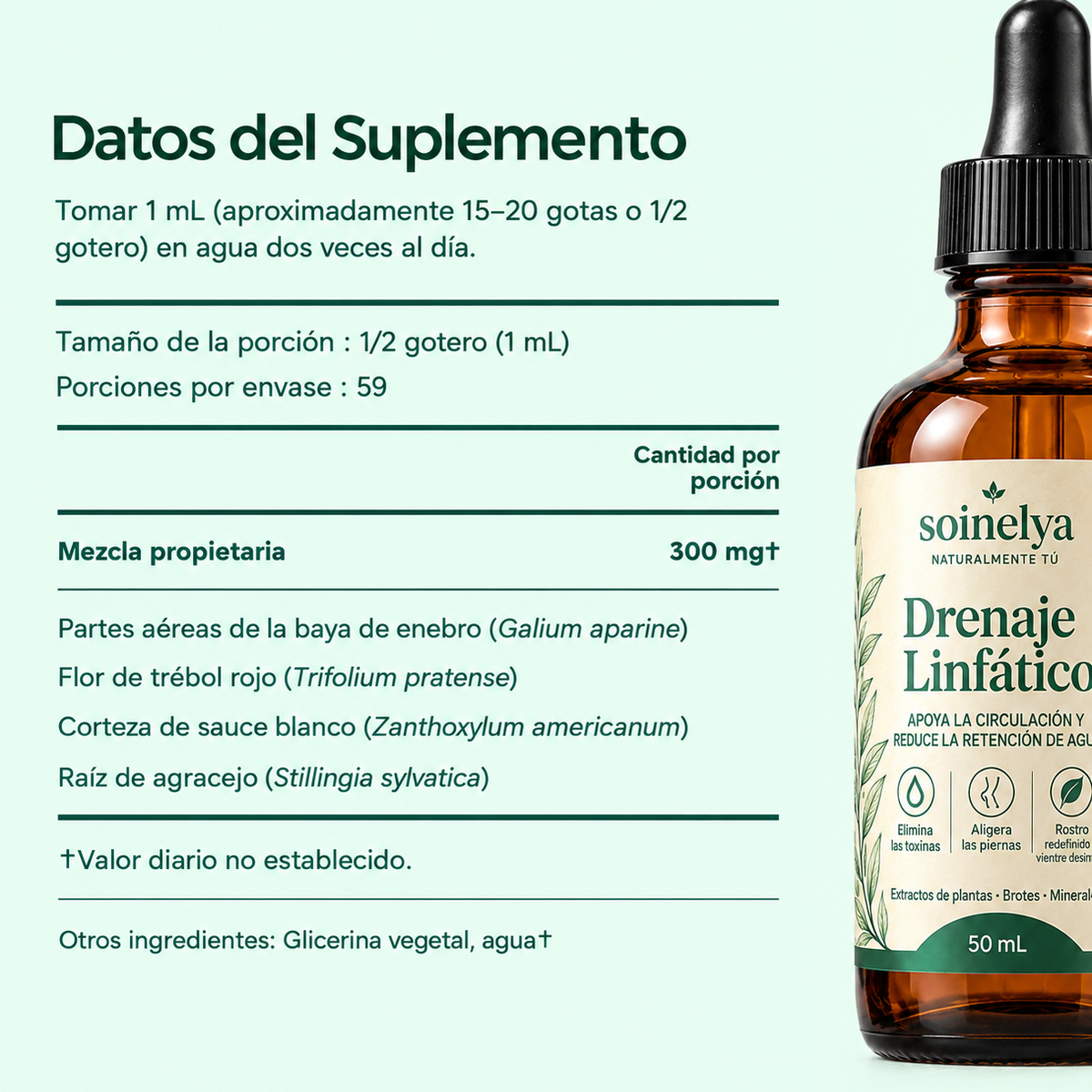 SIÉNTETE MÁS LIGERA, DÍA TRAS DÍA
